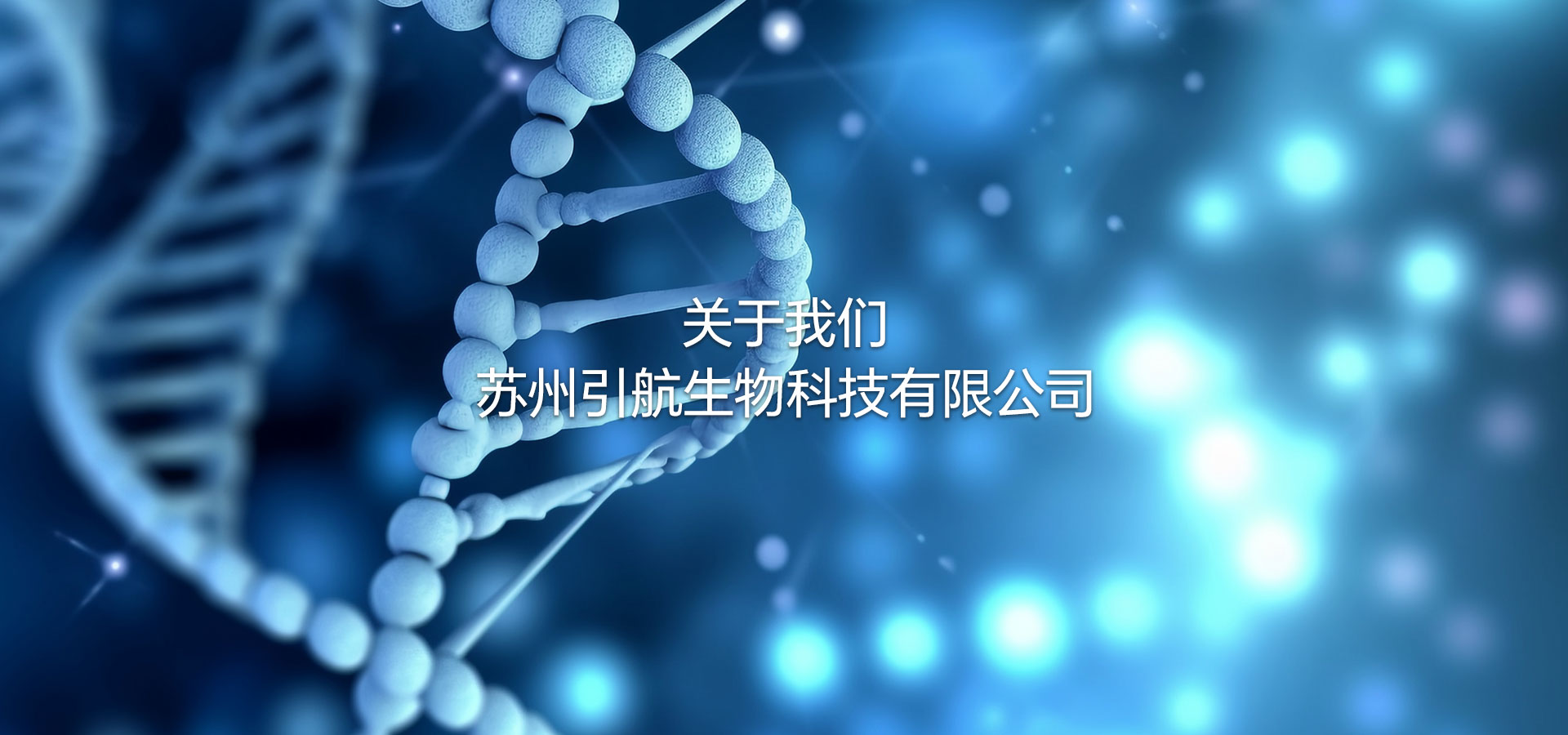 引航生物乘風(fēng)破浪 揚帆起航